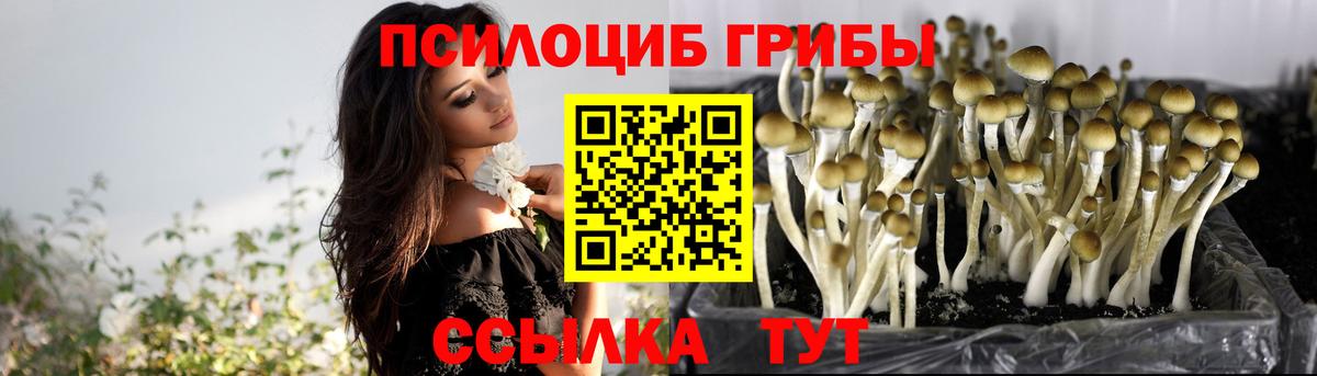 Галлюциногенные грибы MAGIC MUSHROOMS  Вход с VPN  Галлюциногенные грибы мицелий  Коркино 
