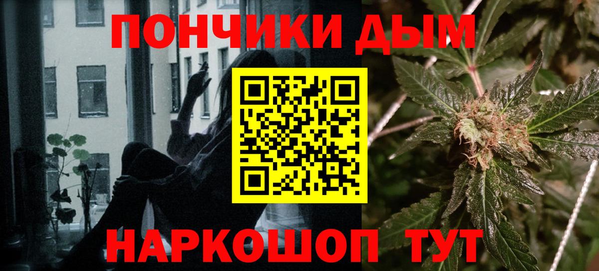 Конопля сатива Коркино